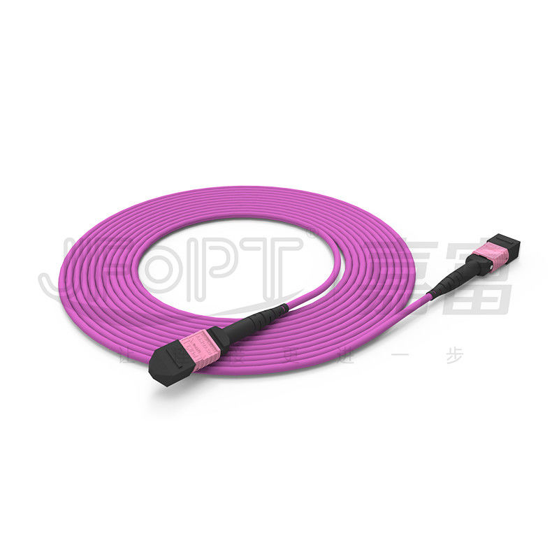 Dây vá MTP 100G 24 lõi Đa chế độ OM4 50/125 LSZH 3.0-4.0mm Heather Violet Jumper
