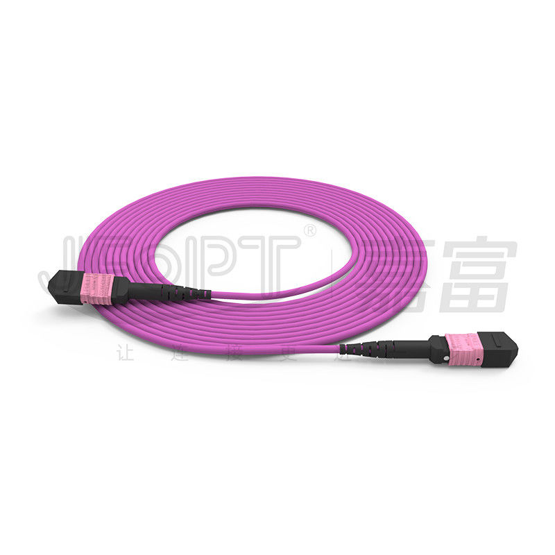 Dây vá MTP 100G 24 lõi Đa chế độ OM4 50/125 LSZH 3.0-4.0mm Heather Violet Jumper