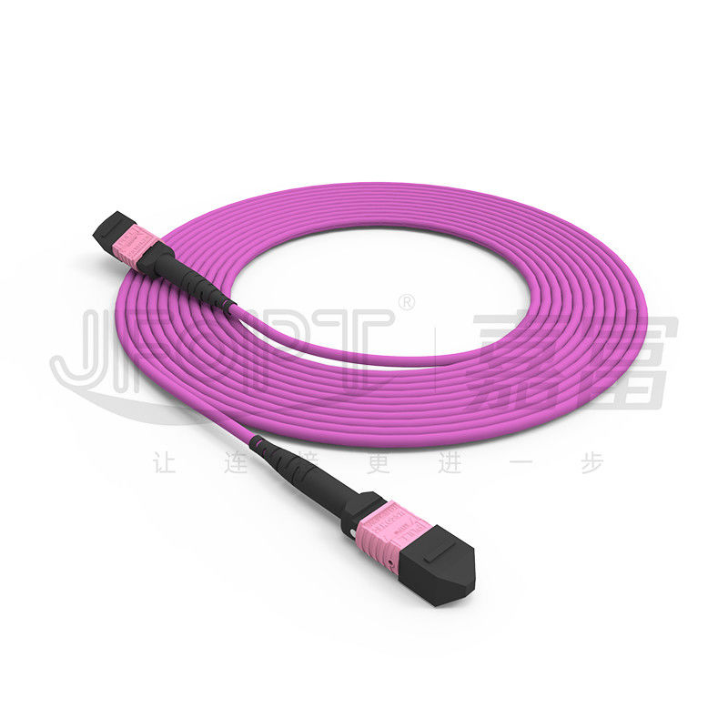 Dây vá MTP 100G 24 lõi Đa chế độ OM4 50/125 LSZH 3.0-4.0mm Heather Violet Jumper