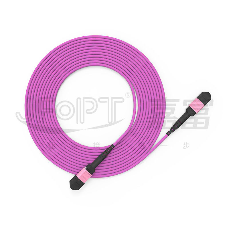 Dây vá MTP 100G 24 lõi Đa chế độ OM4 50/125 LSZH 3.0-4.0mm Heather Violet Jumper