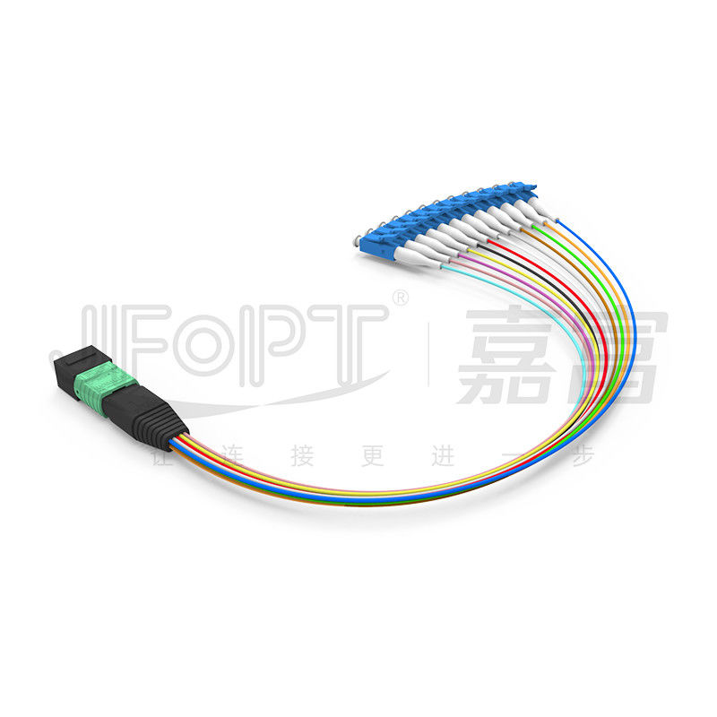Dây nhảy quang MTP-12 * LC 12 Core OS2 G657A1 G657A2 Nhánh Furcation 0,9mm
