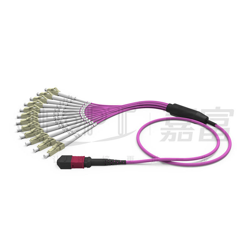 MPO - LC Breakout Patch Cord 2.0mm Fanout LC DX Với Clip MM Mất tiêu chuẩn Ferrule