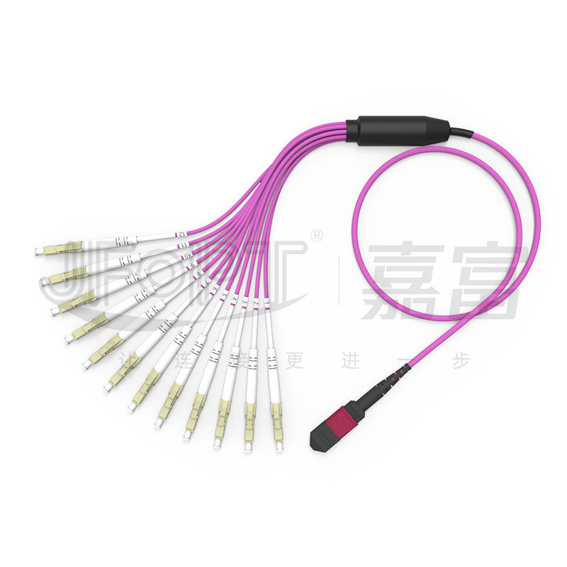 MPO - LC Breakout Patch Cord 2.0mm Fanout LC DX Với Clip MM Mất tiêu chuẩn Ferrule