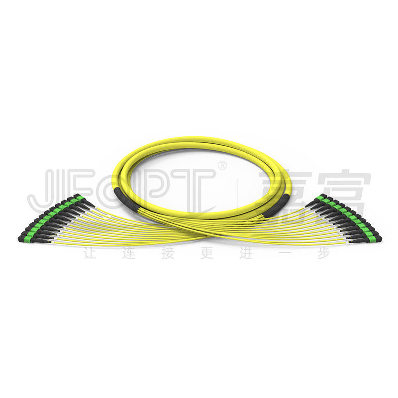 Cáp trung kế 144 lõi MPO 12 đơn vị Đầu nối MPO 24 nhánh không đồng đều