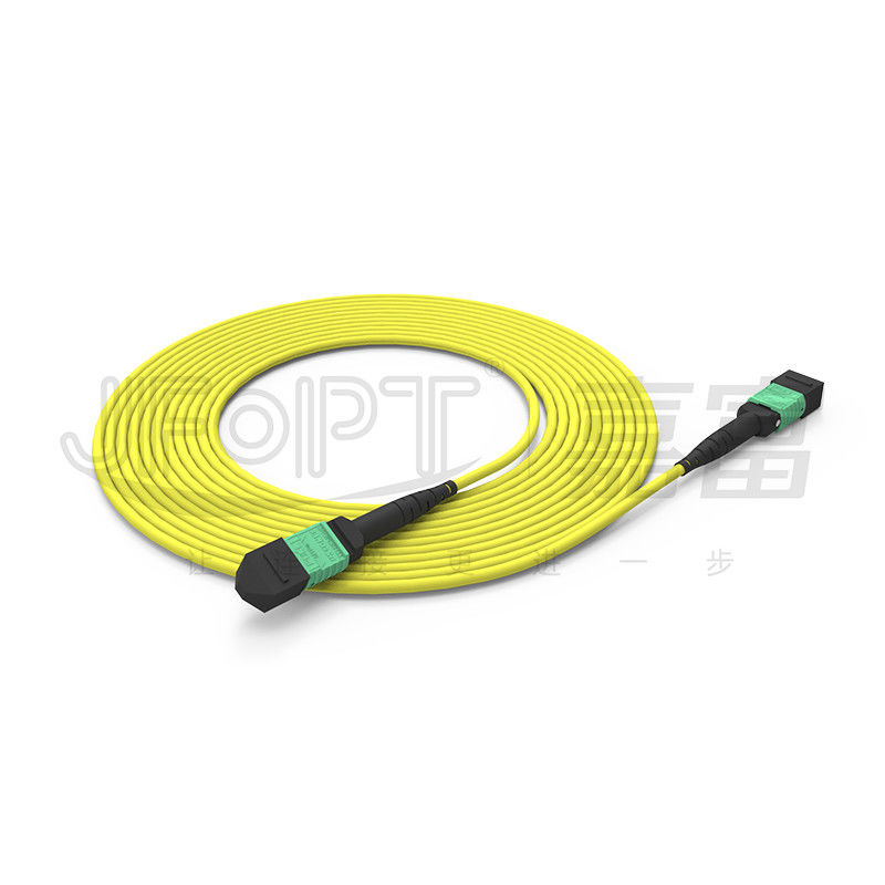 MTP 24 Core Chế độ đơn OS2 Phân cực A OFNP UL Dây cáp quang được xếp hạng