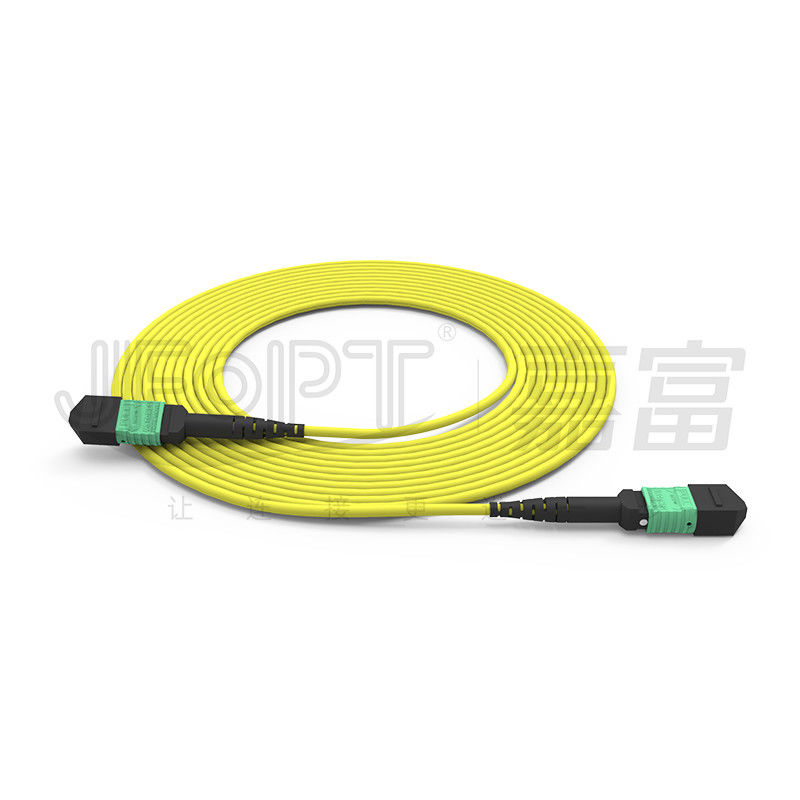 MTP 24 Core Chế độ đơn OS2 Phân cực A OFNP UL Dây cáp quang được xếp hạng