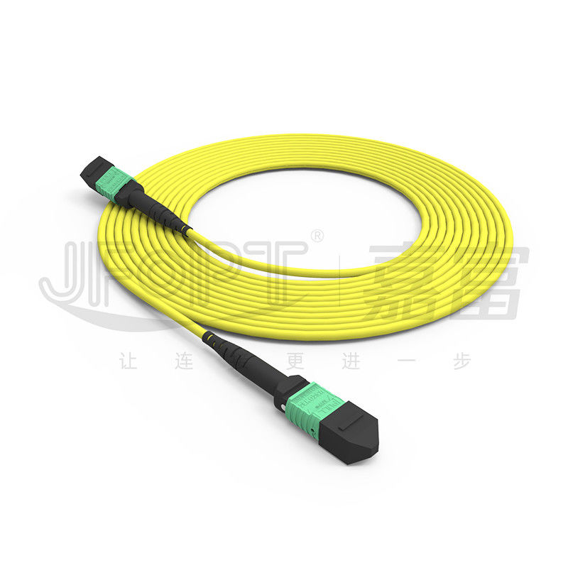 MTP 24 Core Chế độ đơn OS2 Phân cực A OFNP UL Dây cáp quang được xếp hạng