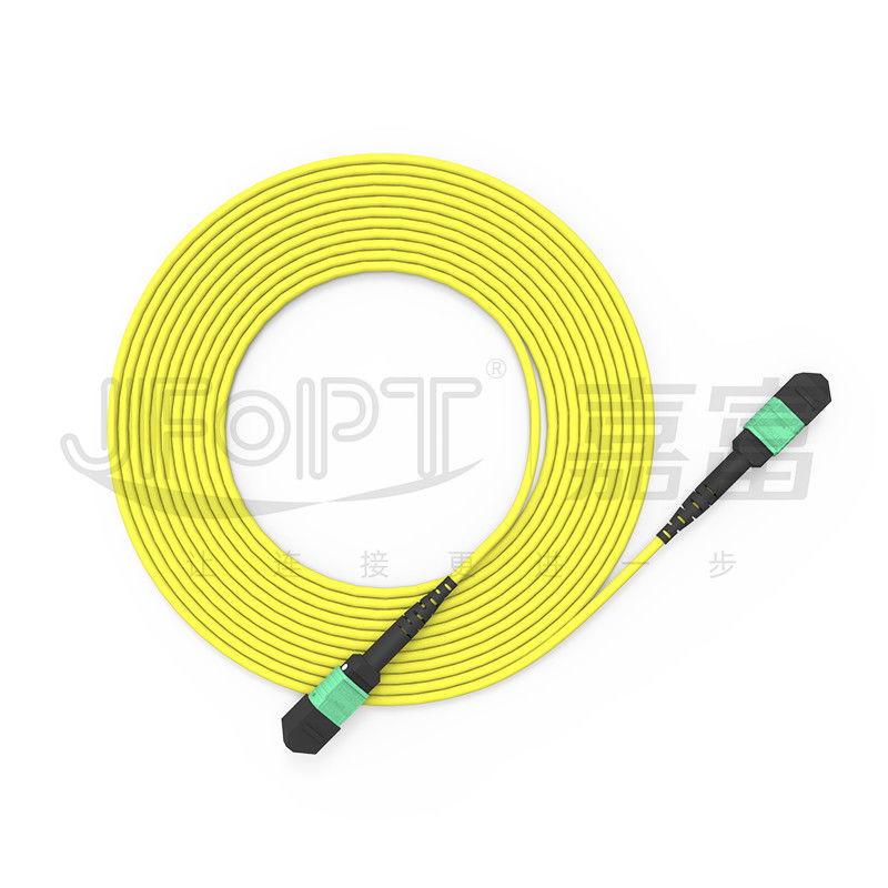 MTP 24 Core Chế độ đơn OS2 Phân cực A OFNP UL Dây cáp quang được xếp hạng