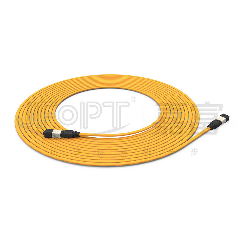 Cáp thân chống cháy 12 lõi đa phương 50/125 OFNR/OFNP