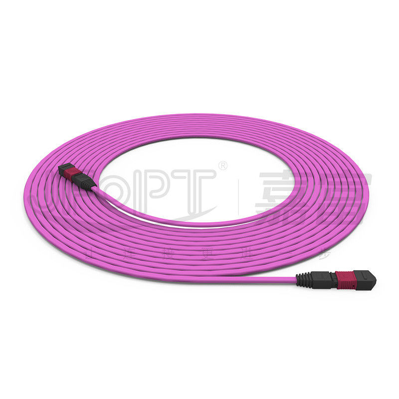 Cáp thân chống cháy 12 lõi đa phương 50/125 OFNR/OFNP