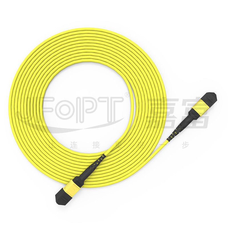 12-Core MPO Trunk Cable Patch Cord G657A1/G657A2 3.0 LSZH A/B Polarity Reversal