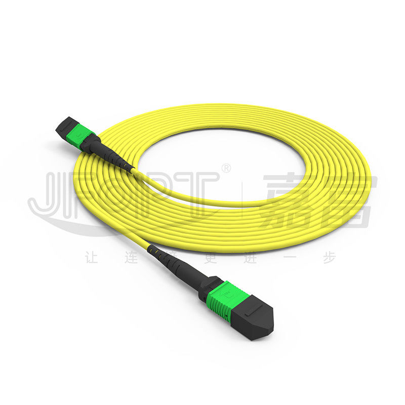 Cáp thân MPO 24 lõi đơn chế độ G657A1/G657A2 Backbone Jumper