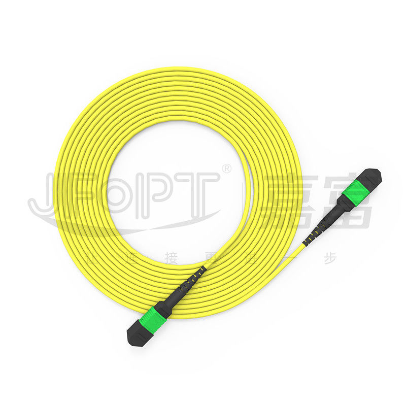 Cáp thân MPO 24 lõi đơn chế độ G657A1/G657A2 Backbone Jumper