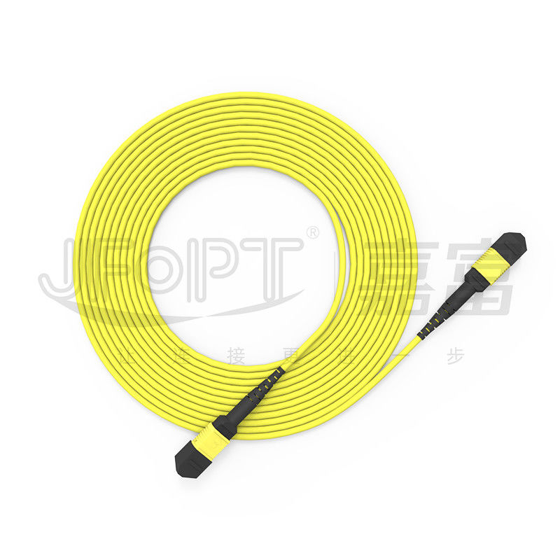 Cáp thân MPO 24 lõi đơn chế độ G657A1/G657A2 Backbone Jumper