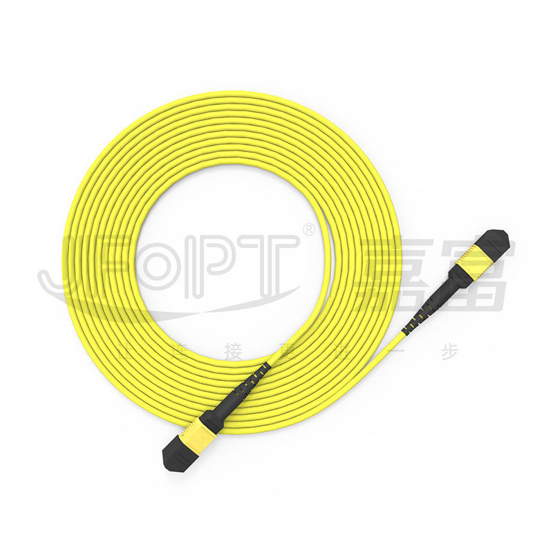 10 Gigabits MPO cáp vá kết nối nhanh cho kết nối tín hiệu quang học trong phòng máy tính