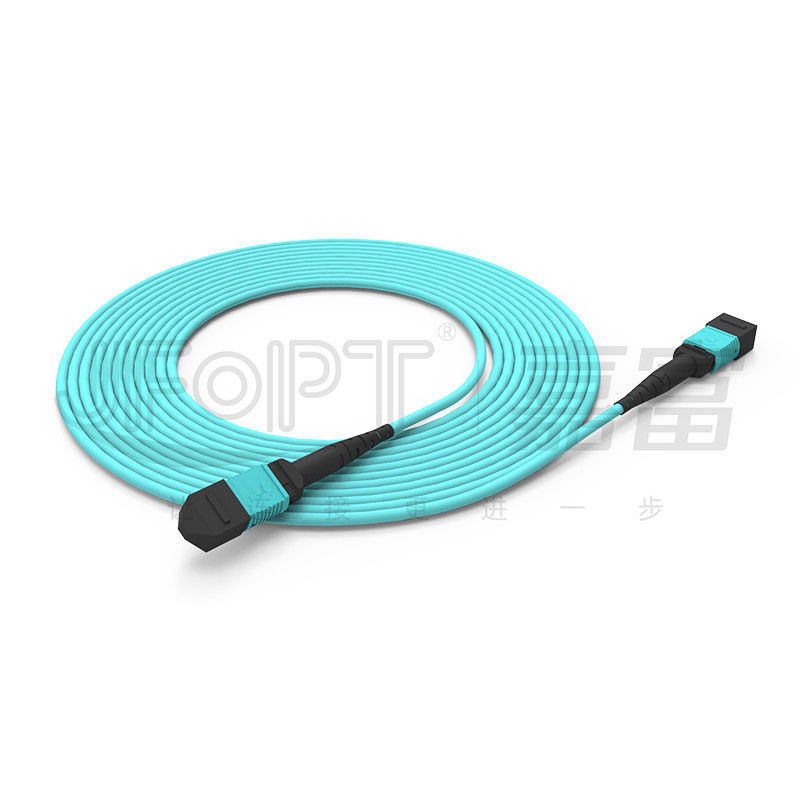 10 Gigabits MPO cáp vá kết nối nhanh cho kết nối tín hiệu quang học trong phòng máy tính