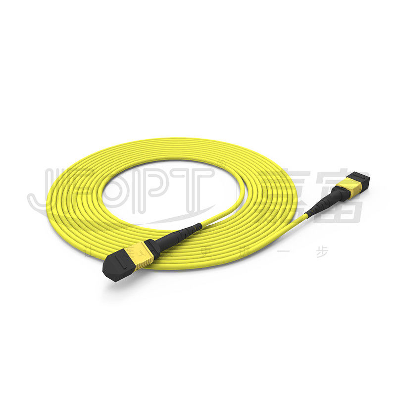 12 lõi MPO Trunk Cable LSZH 2.0mm/3.0mm mất mát thấp Single-Tube Mini Cable MPO Patch Cord