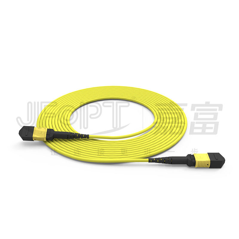 12 lõi MPO Trunk Cable LSZH 2.0mm/3.0mm mất mát thấp Single-Tube Mini Cable MPO Patch Cord