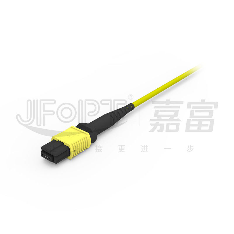 12 lõi MPO Trunk Cable LSZH 2.0mm/3.0mm mất mát thấp Single-Tube Mini Cable MPO Patch Cord