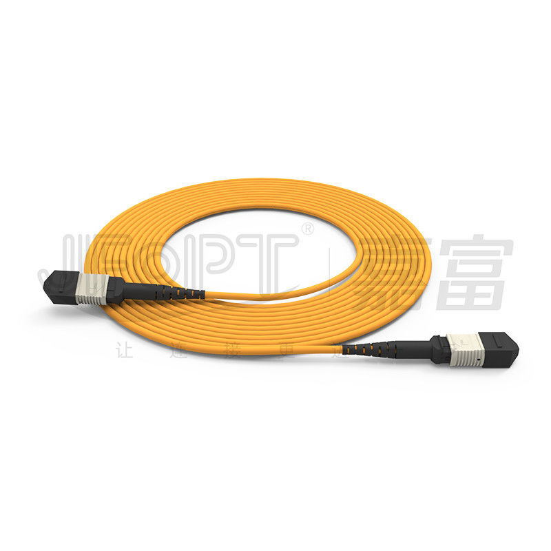 850nm Multimode Low Loss Ferrule MPO Trunk Cable Dây cáp quang đa lõi