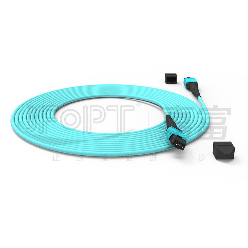 12 lõi Tốc độ MPO Patch Cord Aqua Color cho kết nối trung tâm dữ liệu 10G Multi-mode OM3 Fiber Optic Patch Cord